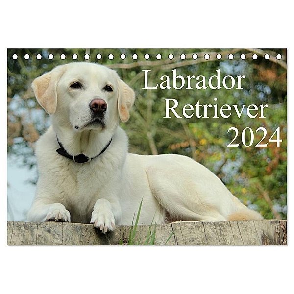 Labrador Retriever 2024 (Tischkalender 2024 DIN A5 quer), CALVENDO Monatskalender, Anita Schreuer