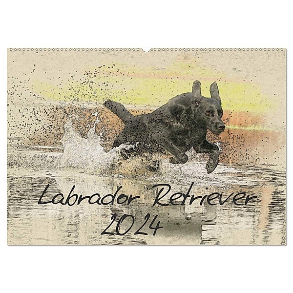 Labrador Retriever 2024 (Wandkalender 2024 DIN A2 quer), CALVENDO Monatskalender, Andrea Redecker