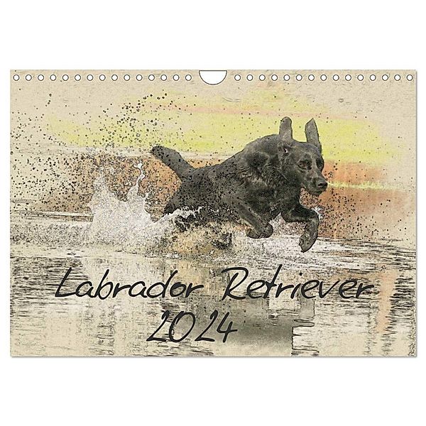 Labrador Retriever 2024 (Wandkalender 2024 DIN A4 quer), CALVENDO Monatskalender, Andrea Redecker