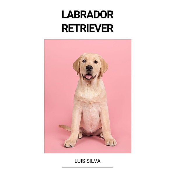 Labrador Retriever, Luis Silva