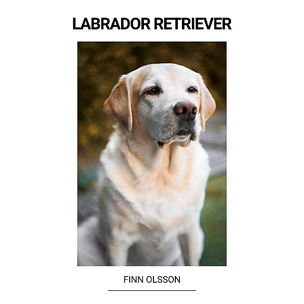 Labrador Retriever, Finn Olsson