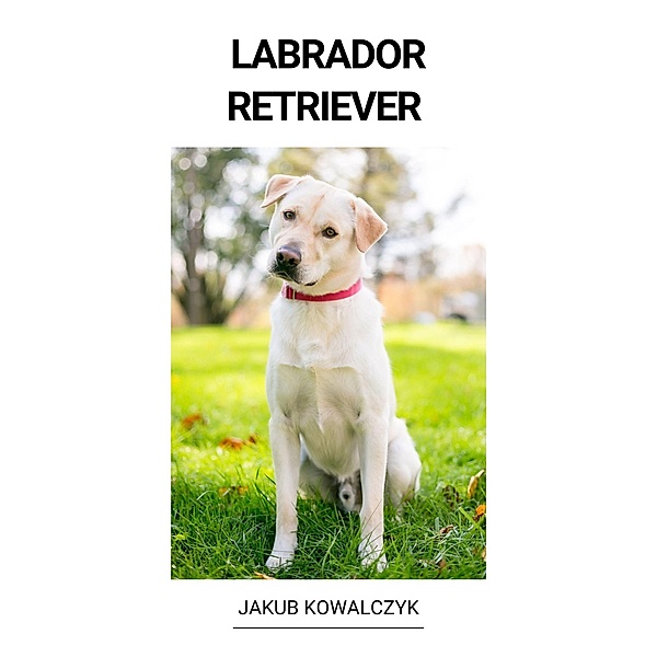 Labrador Retriever, Jakub Kowalczyk