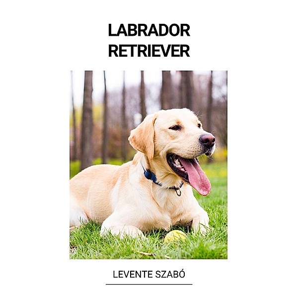 Labrador Retriever, Levente Szabó