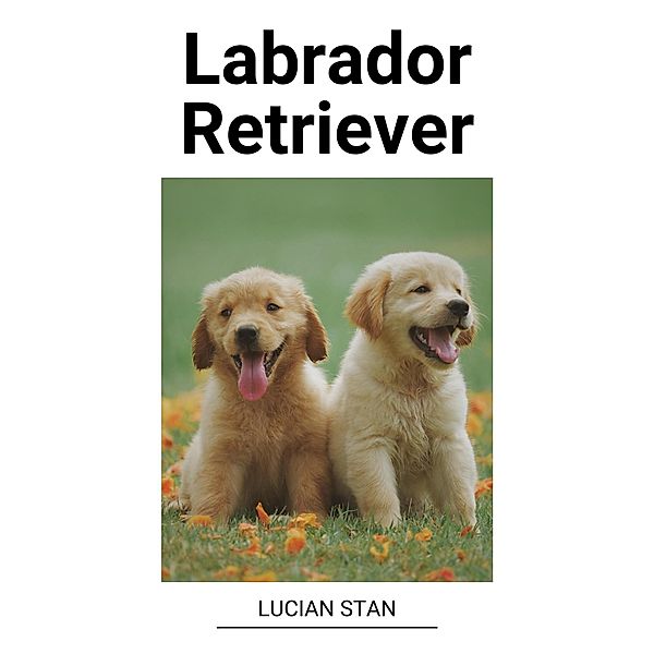 Labrador Retriever, Lucian Stan