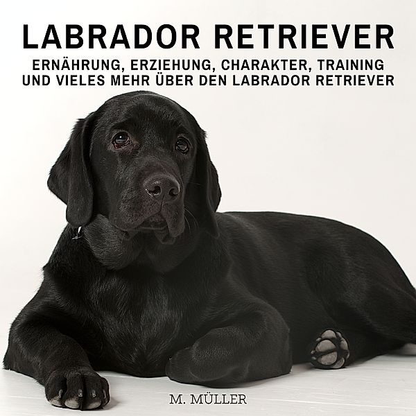 Labrador Retriever, M. Müller