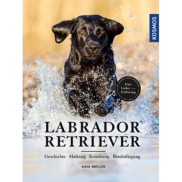 Labrador Retriever, Anja Möller