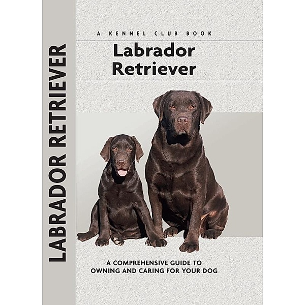 Labrador Retriever / Comprehensive Owner's Guide, Margaret A. Gilbert