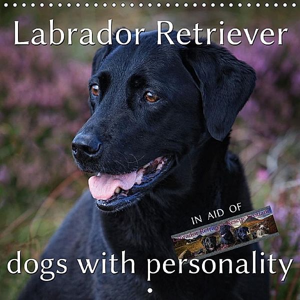 Labrador Retriever - Dogs with Personality (Wall Calendar 2018 300 × 300 mm Square), Martina Cross