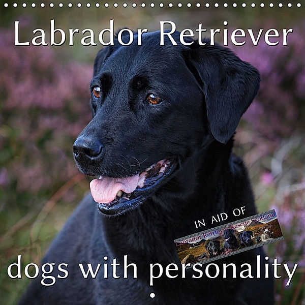 Labrador Retriever - Dogs with Personality (Wall Calendar 2019 300 × 300 mm Square), Martina Cross