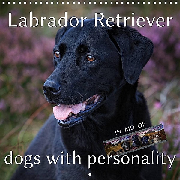 Labrador Retriever - Dogs with Personality (Wall Calendar 2022 300 × 300 mm Square), Martina Cross