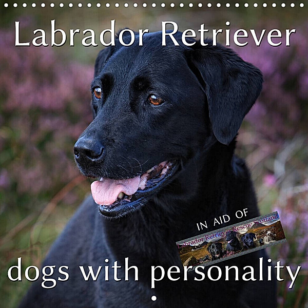 Labrador Retriever - Dogs with Personality (Wall Calendar 2023 300 × 300 mm Square), Martina Cross