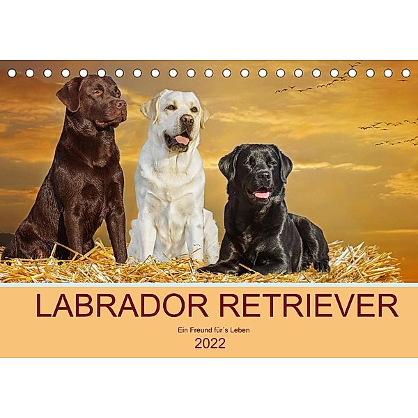 Labrador Retriever - Ein Freund für´s Leben (Tischkalender 2022 DIN A5 quer), Sigrid Starick