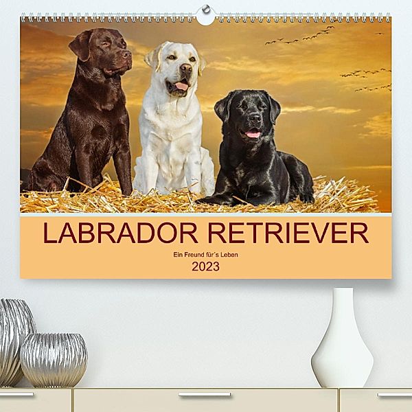 Labrador Retriever - Ein Freund für´s Leben (Premium, hochwertiger DIN A2 Wandkalender 2023, Kunstdruck in Hochglanz), Sigrid Starick