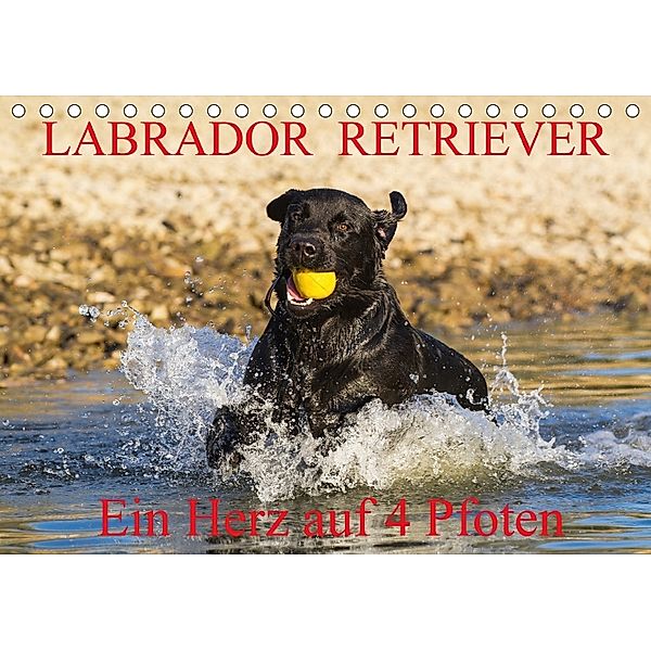 Labrador Retriever - ein Herz auf 4 Pfoten (Tischkalender 2018 DIN A5 quer), N N