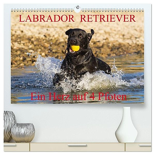 Labrador Retriever - ein Herz auf 4 Pfoten (hochwertiger Premium Wandkalender 2025 DIN A2 quer), Kunstdruck in Hochglanz, Calvendo