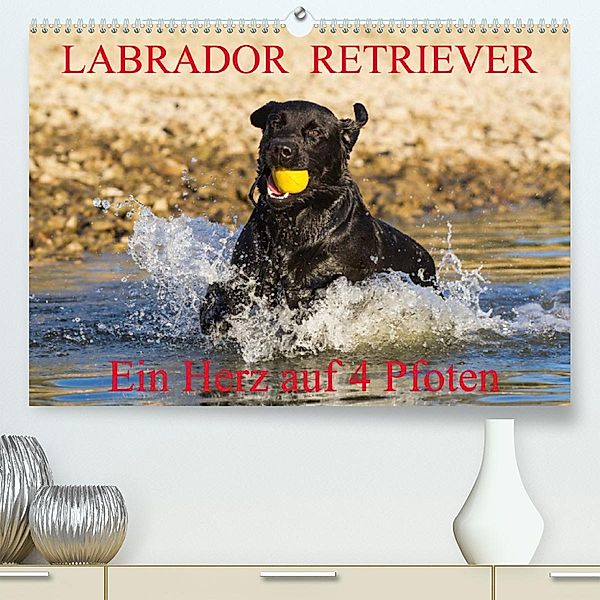 Labrador Retriever - ein Herz auf 4 Pfoten (Premium, hochwertiger DIN A2 Wandkalender 2023, Kunstdruck in Hochglanz), N N