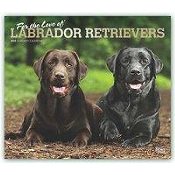 Labrador Retriever - For the love of 2020, BrownTrout Publisher