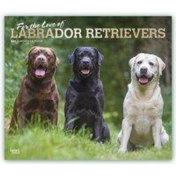 Labrador Retriever - For the love of 2021 - 16-Monatskalender mit freier DogDays-App, BrownTrout Publisher