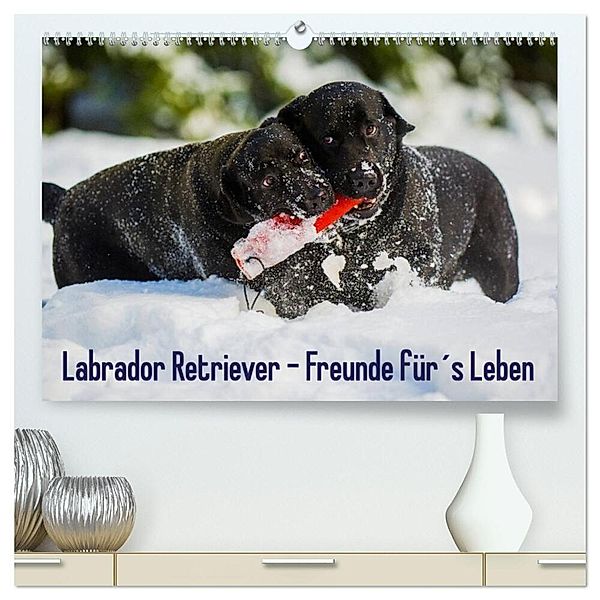 Labrador Retriever - Freunde für´s Leben (hochwertiger Premium Wandkalender 2025 DIN A2 quer), Kunstdruck in Hochglanz, Calvendo, Sigrid Starick