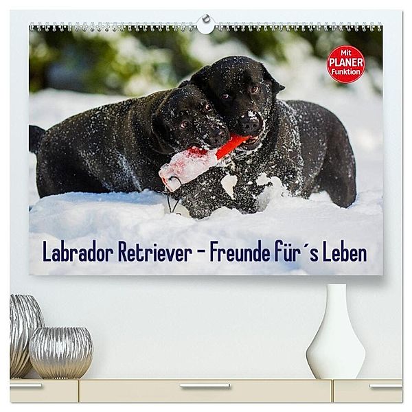 Labrador Retriever - Freunde für´s Leben (hochwertiger Premium Wandkalender 2025 DIN A2 quer), Kunstdruck in Hochglanz, Calvendo, Sigrid Starick