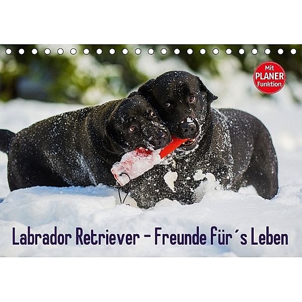 Labrador Retriever - Freunde für's Leben (Tischkalender 2018 DIN A5 quer), Sigrid Starick