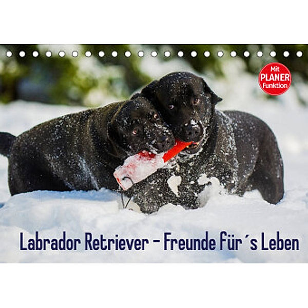 Labrador Retriever - Freunde für´s Leben (Tischkalender 2022 DIN A5 quer), Sigrid Starick