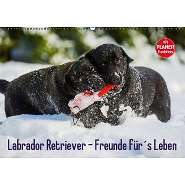 Labrador Retriever - Freunde fürs Leben (Wandkalender 2016 DIN A2 quer), Sigrid Starick