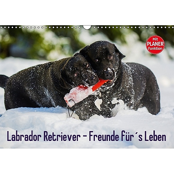 Labrador Retriever - Freunde für's Leben (Wandkalender 2018 DIN A3 quer), Sigrid Starick