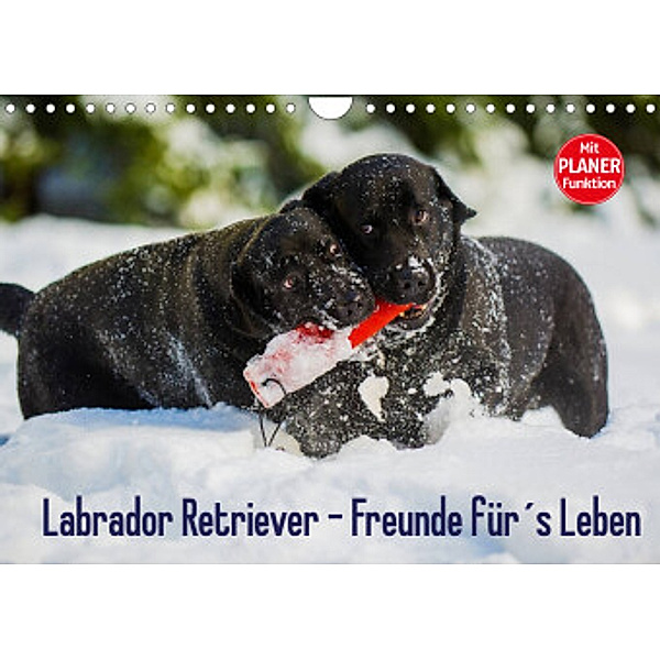 Labrador Retriever - Freunde für´s Leben (Wandkalender 2022 DIN A4 quer), Sigrid Starick