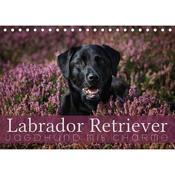 Labrador Retriever - Jagdhund mit Charme (Tischkalender 2015 DIN A5 quer), Martina Cross