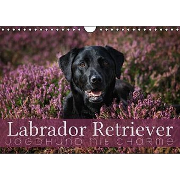 Labrador Retriever - Jagdhund mit Charme (Wandkalender 2015 DIN A4 quer), Martina Cross