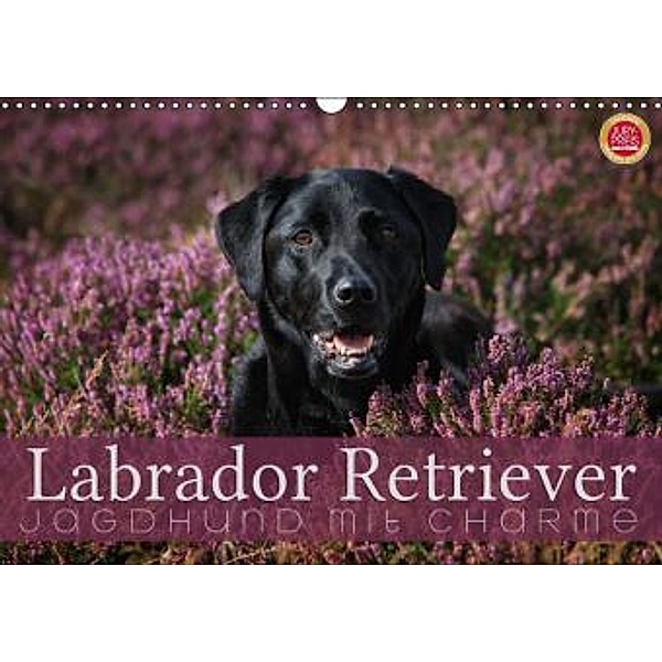 Labrador Retriever - Jagdhund mit Charme (Wandkalender 2016 DIN A3 quer), Martina Cross