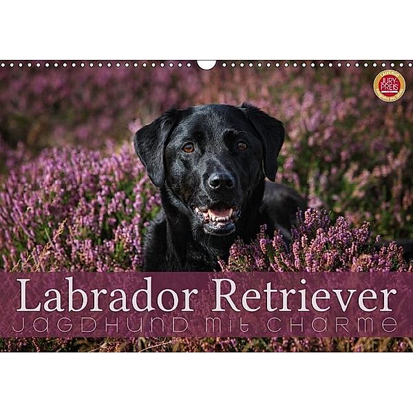 Labrador Retriever - Jagdhund mit Charme (Wandkalender 2017 DIN A3 quer), Martina Cross