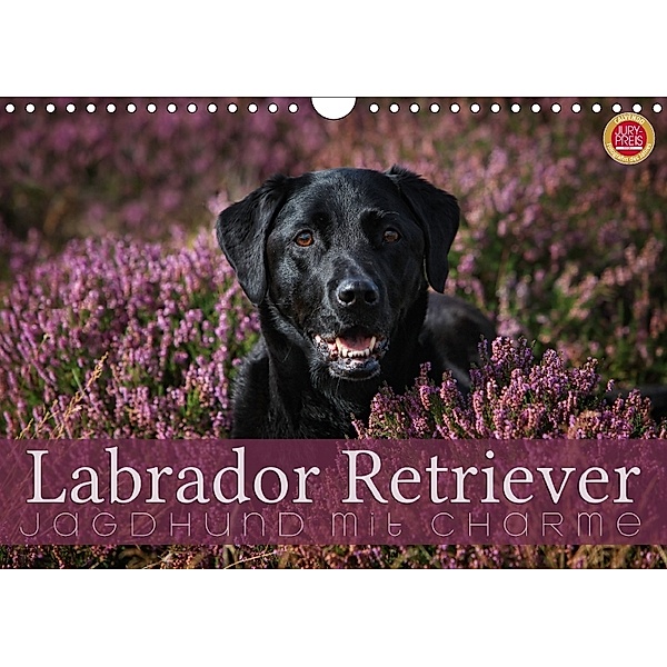 Labrador Retriever - Jagdhund mit Charme (Wandkalender 2018 DIN A4 quer), Martina Cross