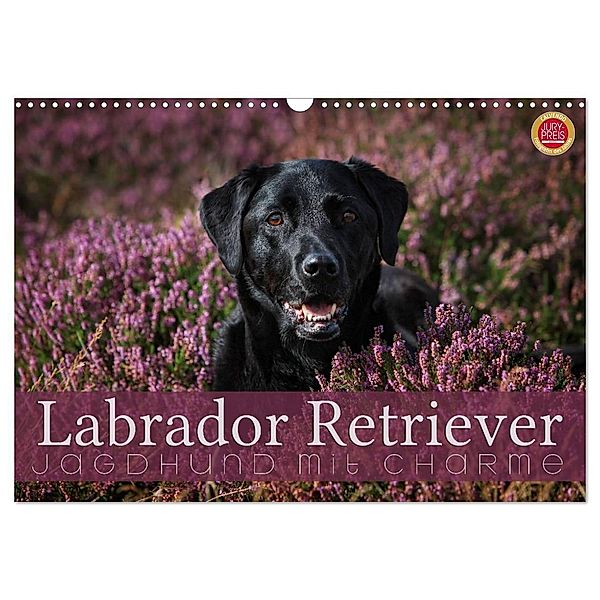 Labrador Retriever - Jagdhund mit Charme (Wandkalender 2024 DIN A3 quer), CALVENDO Monatskalender, Martina Cross