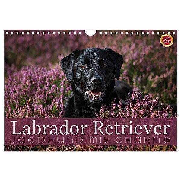 Labrador Retriever - Jagdhund mit Charme (Wandkalender 2025 DIN A4 quer), CALVENDO Monatskalender, Calvendo, Martina Cross