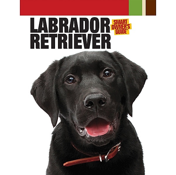 Labrador Retriever / Smart Owner's Guide, Dog Fancy Magazine