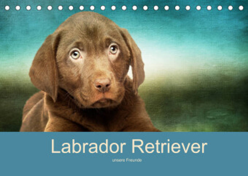 Labrador Retriever unsere Freunde Tischkalender 2022 DIN A5 quer - Kalender  bestellen