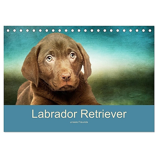 Labrador Retriever unsere Freunde (Tischkalender 2024 DIN A5 quer), CALVENDO Monatskalender, M. Camadini Switzerland
