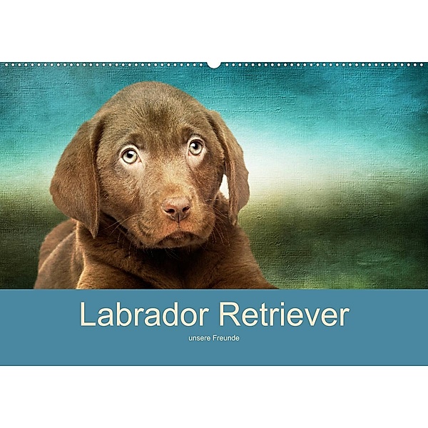 Labrador Retriever unsere Freunde (Wandkalender 2023 DIN A2 quer), M. Camadini  Switzerland