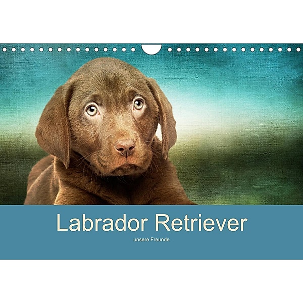 Labrador Retriever unsere Freunde (Wandkalender 2023 DIN A4 quer), M. Camadini  Switzerland