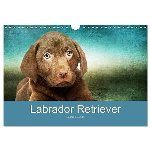 Labrador Retriever unsere Freunde (Wandkalender 2024 DIN A4 quer), CALVENDO Monatskalender, M. Camadini Switzerland