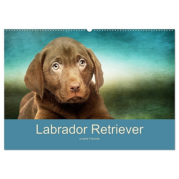 Labrador Retriever unsere Freunde (Wandkalender 2024 DIN A2 quer), CALVENDO Monatskalender, M. Camadini Switzerland