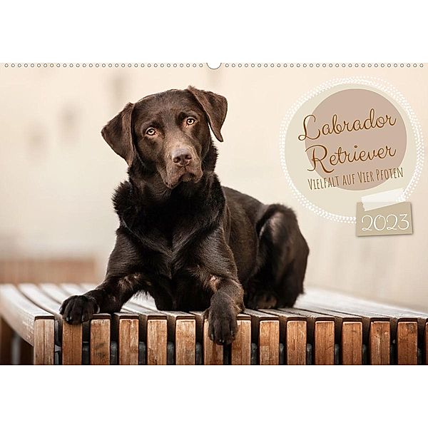 Labrador Retriever - Vielfalt auf Vier Pfoten (Wandkalender 2023 DIN A2 quer), Sabrina Wobith Photography