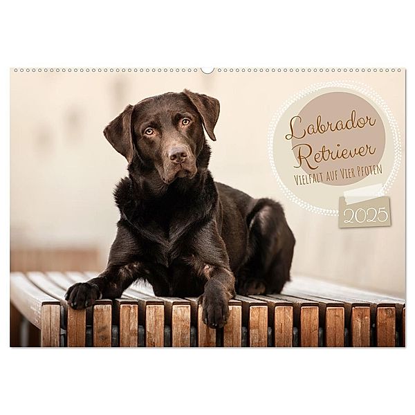 Labrador Retriever - Vielfalt auf Vier Pfoten (Wandkalender 2025 DIN A2 quer), CALVENDO Monatskalender, Calvendo, Sabrina Wobith Photography