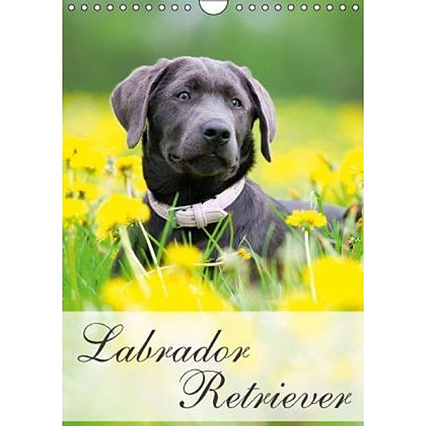 Labrador Retriever (Wandkalender 2015 DIN A4 hoch), Nicole Noack