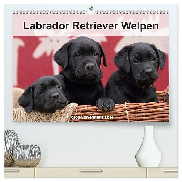 Labrador Retriever Welpen (hochwertiger Premium Wandkalender 2024 DIN A2 quer), Kunstdruck in Hochglanz, Peter Faber
