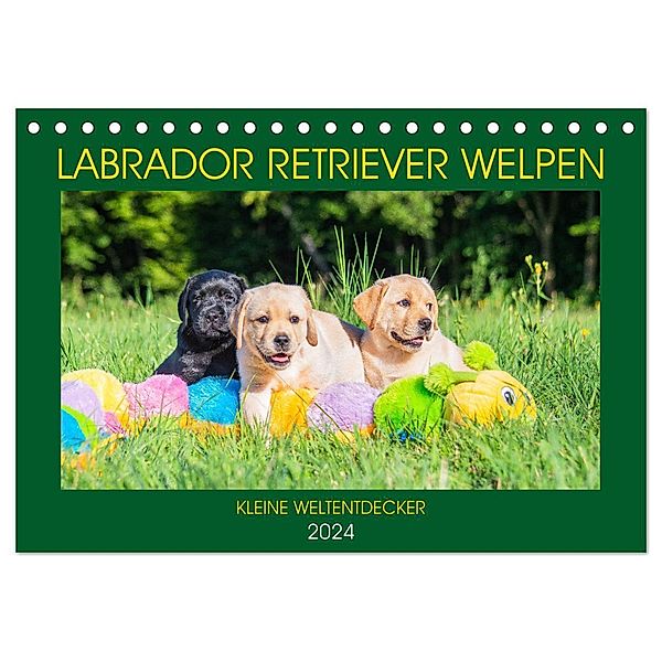 Labrador Retriever Welpen - Kleine Weltentdecker (Tischkalender 2024 DIN A5 quer), CALVENDO Monatskalender, Sigrid Starick