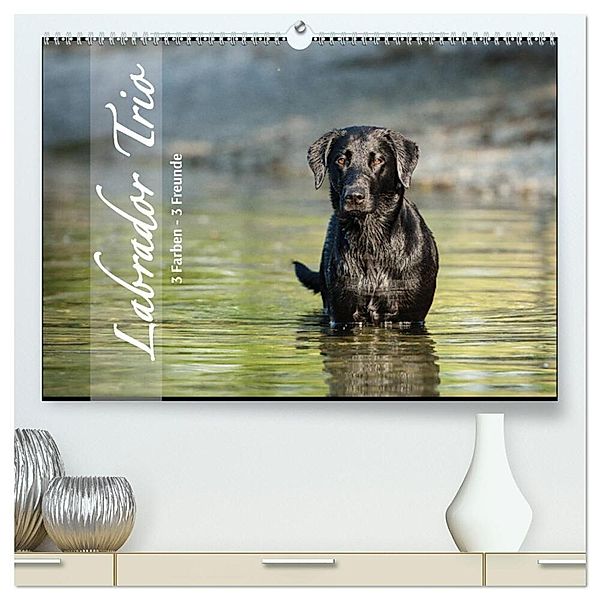 Labrador Trio - 3 Farben, 3 Freunde (hochwertiger Premium Wandkalender 2024 DIN A2 quer), Kunstdruck in Hochglanz, Cornelia Strunz