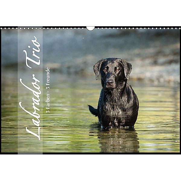 Labrador Trio - 3 Farben, 3 Freunde (Wandkalender 2020 DIN A3 quer), Cornelia Strunz